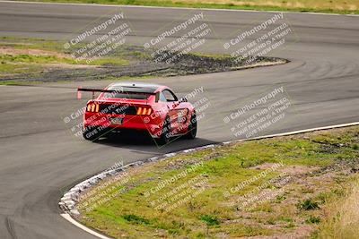 media/Feb-25-2024-Speed Ventures (Sun) [[b9a2a97a4d]]/Mustang Drivers Club/Session 1 (Turns 4 and 5)/